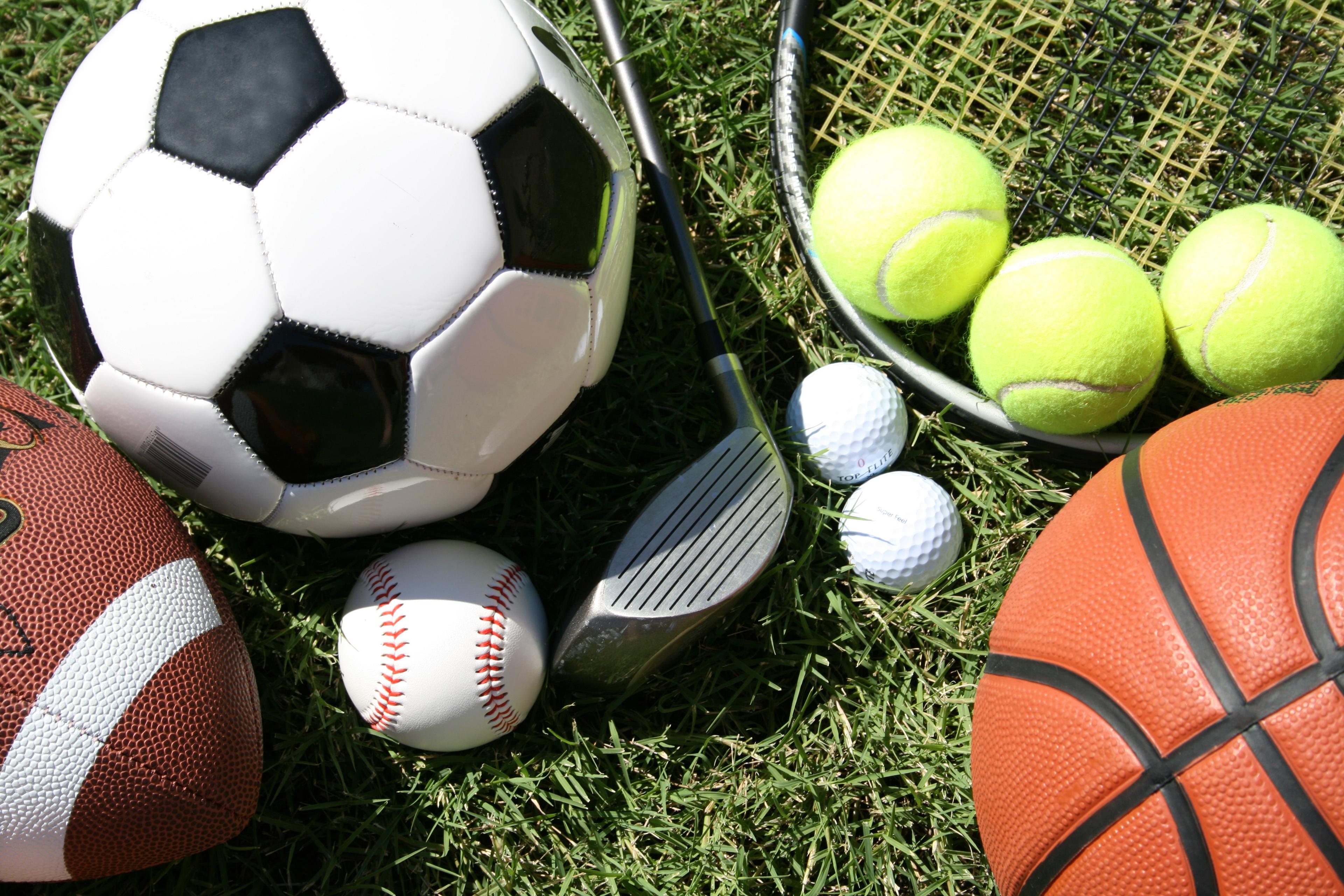 Fans at a sporting event